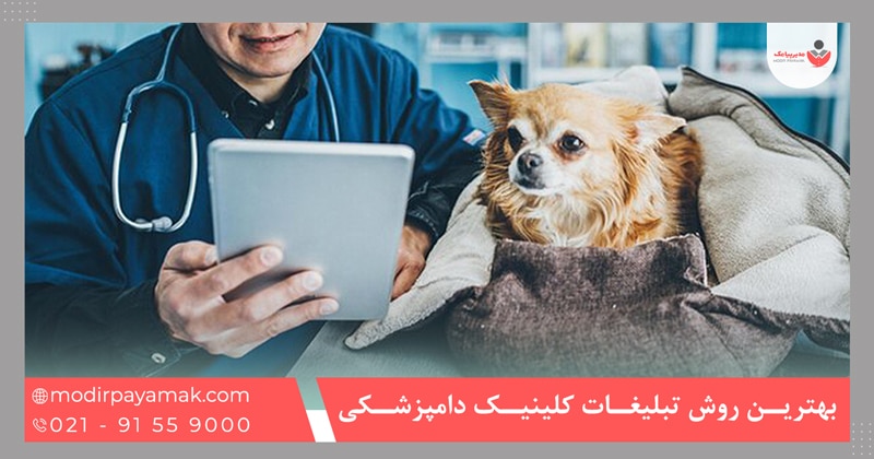 بهترین روش تبلیغات کلینیک دامپزشکی