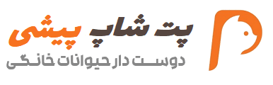 پت شاپ پیشی