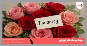 نمونه پیامک عذرخواهی